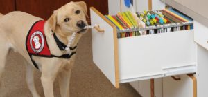 How to Create HR Policy for Employee Giving Programs