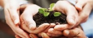 Step 5-Pilot-Employee-Matching-Gifts-Program-in-Department-or-Division